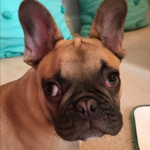 Meet your Posher, Elizabeth